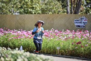 BIB: 
                            <button type="button" onclick="openModal(27792936)" class="btn btn-primary btn-sm float-right btn-popup" data-toggle="modal" data-target=".modal-high-quality">
                        <i class="fas fa-shopping-cart"></i> Add to Cart
                    </button>
                                            <button type="button" onclick="isThisMe(27792936, true)" class="btn btn-success btn-sm float-right btn-popup btn-isme hidden" data-toggle="tooltip" data-placement="bottom" title="นี่คือรูปของคุณใช่ไหม คลิกที่นี่เพื่อเอาเข้าอัลบั้ม">
                        <i class="fas fa-plus"></i> Add to album
                    </button>
                    <button type="button" onclick="isThisMe(27792936, false)" class="btn btn-warning btn-sm float-right btn-popup btn-isnotme hidden">
                        <i class="fas fa-ban"></i> Remove from album
                    </button>